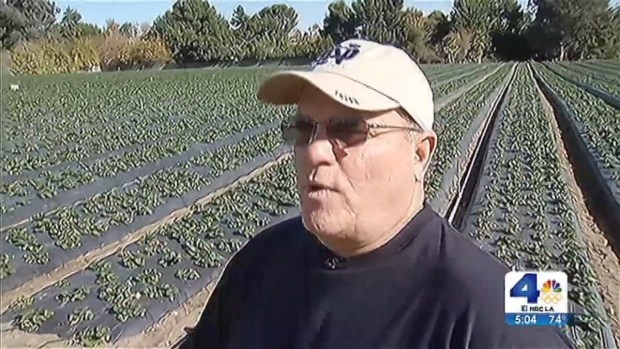 [LA] Drought Affects Farmers in Different Ways