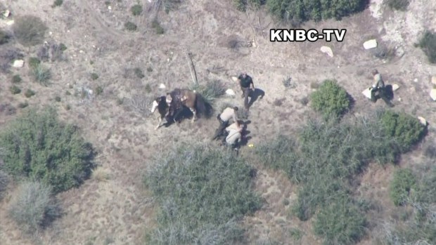 [LA] Raw Video: Deputies Beat Man After Southern California Horse Pursuit