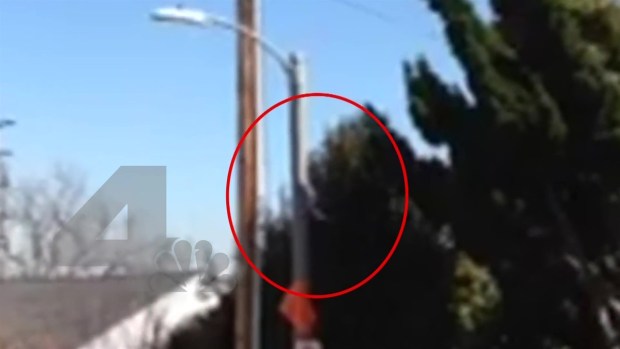 [LA] RAW: Moments Before Ford Plane Crash