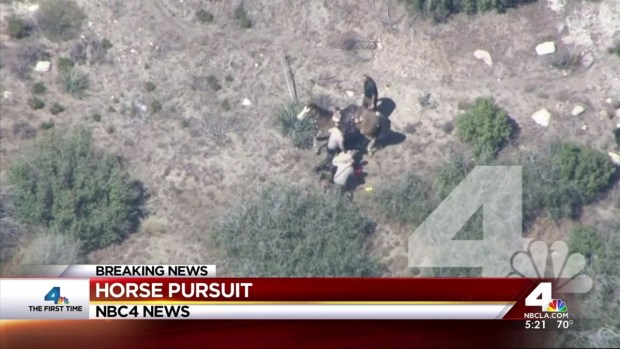 [LA] Deputies Beat Man After Horse Chase
