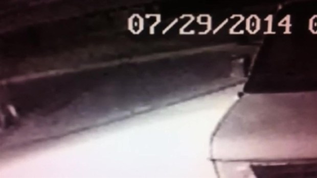 [LA] Raw Video: Possible Mountain Lion in Norwalk