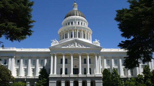 Legislative Staffers Should Work On Initiatives