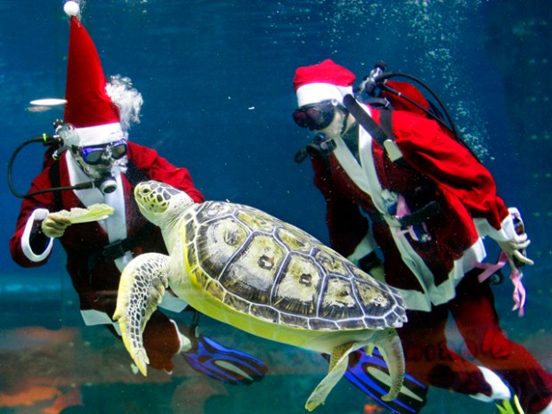 [NATL] Weird News Photos: Santa Edition