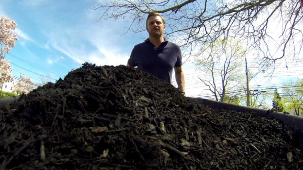 Tips of the Trade: How to Landscape Your Yard