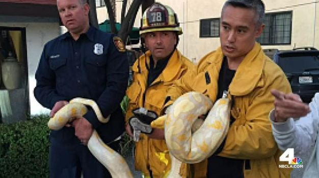 [2016 UPDATED 3/24] Southern California Images in the News