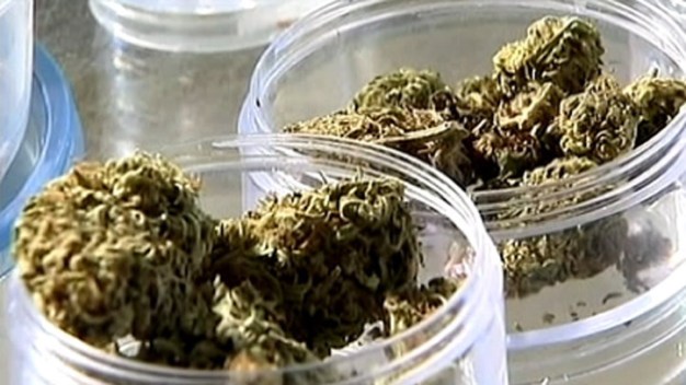 LA Voters Face 3 Medical Marijuana Measures