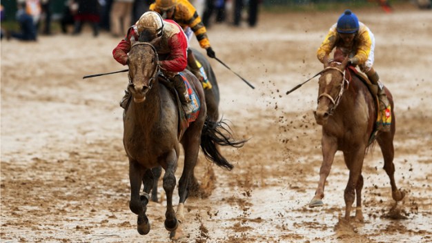 All Eyes on Orb at 138th Preakness Stakes