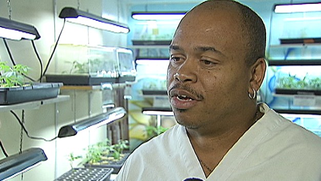 New Law Caps Number of LA Pot Shops