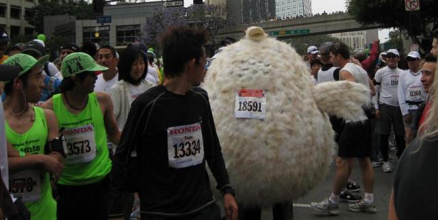 Viewer Images: 2009 LA Marathon