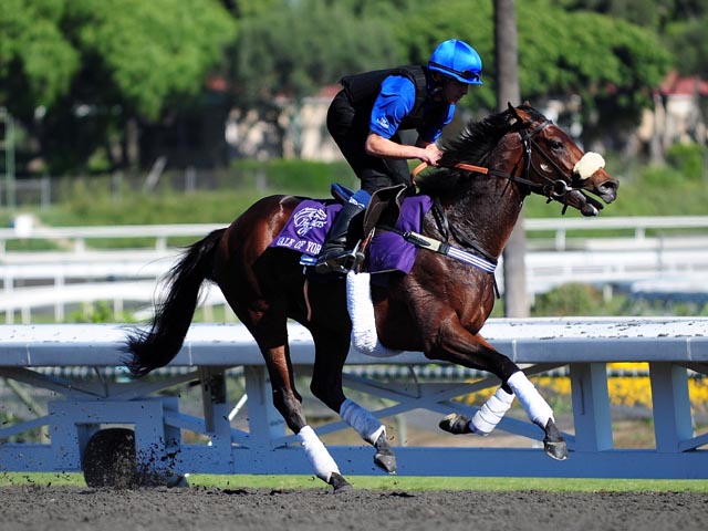 Pony Preview: Almost Time for the Breeders Cup