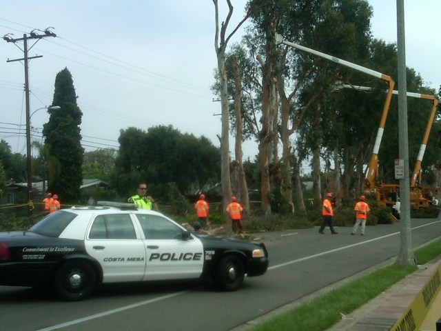 Workers Remove Trees After Deadly Accident