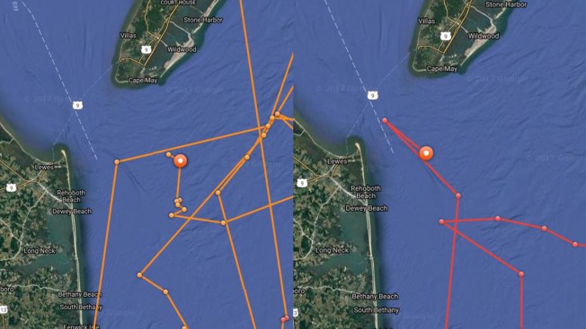 http://media.nbclosangeles.com/images/652*367/Mary-Lee-Shark-Cisco-Shark.jpg