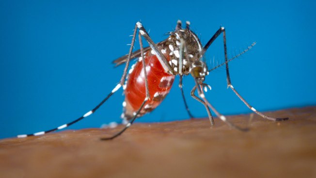 Third Zika case confirmed in MA