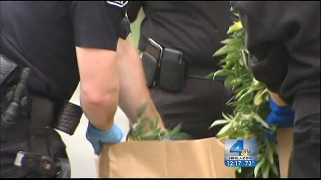 Authorities describe what they found inside a building that housed a sophisticated marijuana growing operation. Toni Guinyard reports from Placentia for the NBC4 News at noon on Tuesday July 3, 2012.