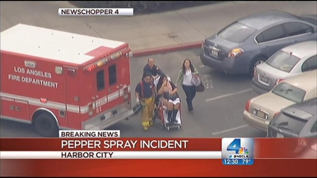 Twenty-five students and two faculty members were evaluated for pepper-spray exposure after the irritant was released during a fight involving two girls at the school. Michelle Valles reports for the NBC4 News at Noon on Wednesday Jan. 23, 2013.