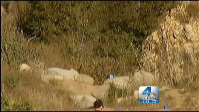 The Los Angeles County Sheriff's Department on Thursday confirmed human remains found in the Angeles National Forest belong to a missing man from Glendale. Detectives say Nicolas Carter, 25, died of blunt force trauma. Gordon Tokumatsu reports from Glendale for the NBC4 News at 5 p.m. on Jan. 31, 2013.