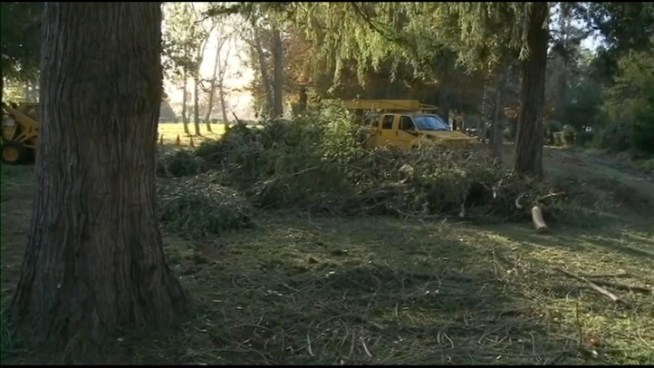 Work crews with some heavy equipment clear storm damage from Griffith Park.