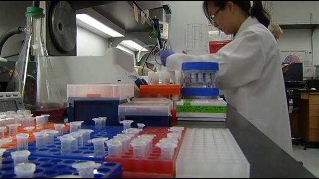Research has identified antibodies that can thwart the spread of HIV.  Now Caltech researchers are moving forward with a method for prompting animals to generate the antibodies.  NBCLA's Patrick Healy reports.