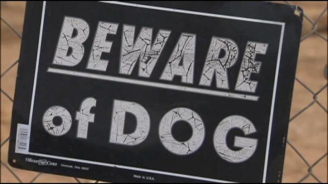 A mother and child were seriously injured Tuesday when a large dog escaped through a fence and attacked them. The child suffered serious head injuries.