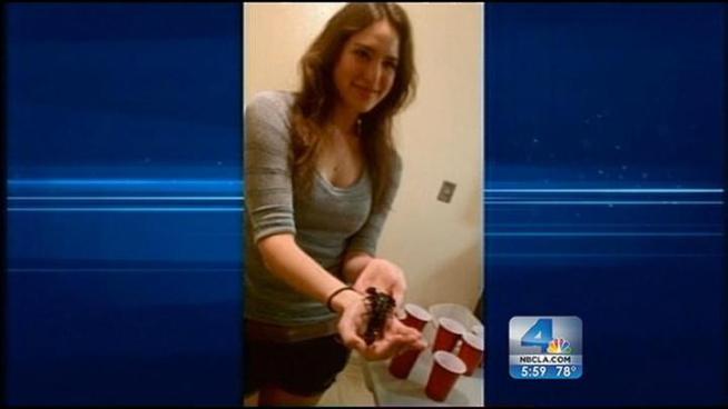 Authorities say they have made a second arrest in the case of a missing 22-year-old Fallbrook woman, the same day they found the body of a female, whom they did not immediately identify. Investigators believe Brittany Killgore, last seen by a friend in Fallbrook, a rural San Diego County community, at 5 p.m. on Friday, April 13, is likely the victim of foul play. Craig Fiegener reports for the NBC4 News at 6 p.m. on April 17, 2012.