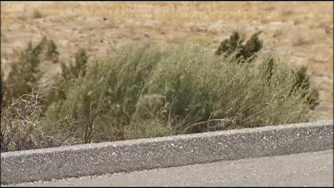 Strong winds are kicking up in many parts of Southern California and the worst is yet to come in certain spots, like the Inland Empire. High wind warnings have already been issued there for Friday, May 25. Craig Fiegener reports for the NBC4 News at 5 p.m. on May 24, 2012.
