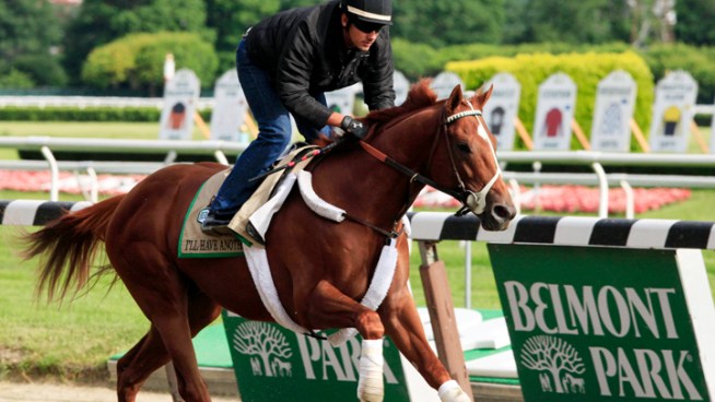 After winning both the Kentucky Derby and the Preakness Stakes, Hollywood horse 
