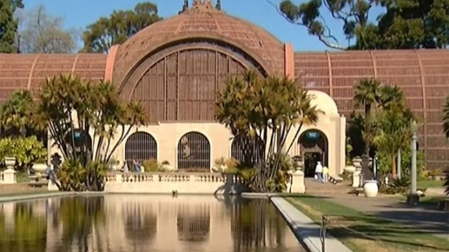 After the Balboa Park lily pond was vandalized, officials finished restoration of one of the park's gems.