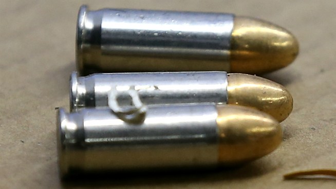 The massacre in Newton, Conn., and other mass shootings have prompted for a call to curb gun violence. California assembly member Nancy Skinner answered that call with a proposal to restrict ammunition sales in the state. Marianne Favro reports.