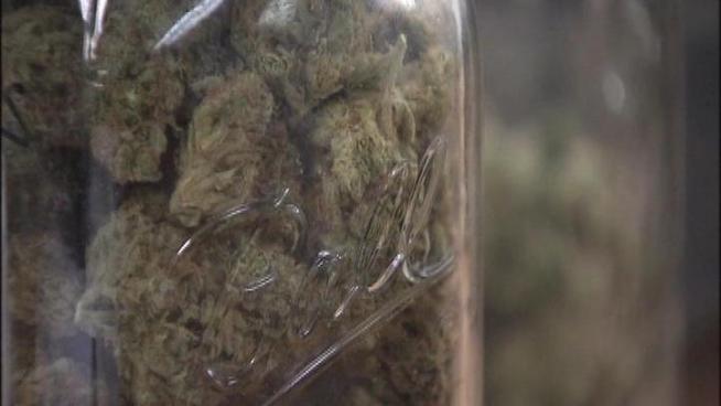While medical marijuana is used to treat dozens of ailments, one mother swears by it to help her severely autistic son.