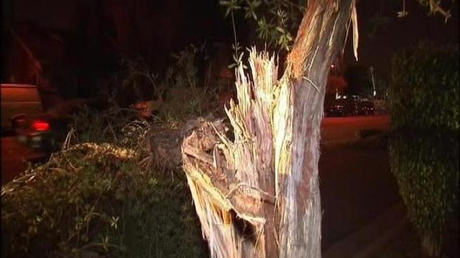 Houses are damaged and thousands left without power in the wake of a giant wind storm.