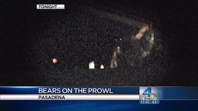 An NBC4 News crew came face to face with a mama bear and her two cubs Saturday night in Pasadena. Earlier in the day, the bears were spotted taking a dip in a backyard hot tub. Antonio Castelan reports from Pasadena for the NBC4 News at 11 p.m. on July 7, 2012.