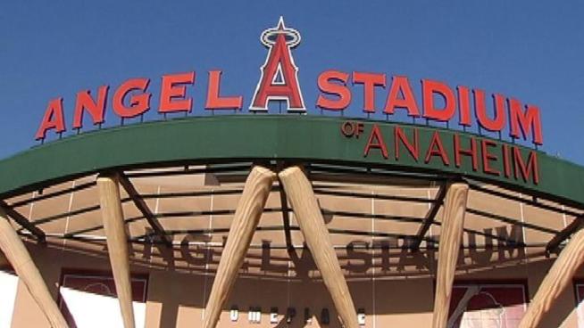 Albert Pujols, a free agent first baseman, signed a 10-year, $254 million contract with the Angels.