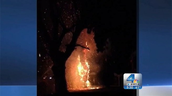 Investigators from the Los Angeles Fire Department are seeking the public's help in identifying the person or people responsible for igniting Cypress trees at more than a dozen locations in Sylmar. LAFD investigator David Liske believes it is the work of an arsonist: 