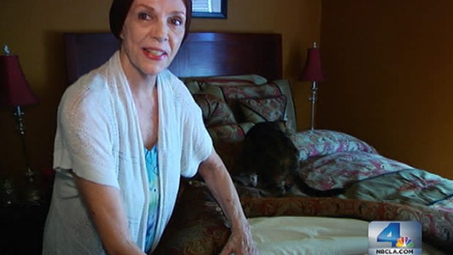 Two Valley Village renters thought they had to fight their bed bug infestations on their own. They didn't realize they had the law on their side. Ana Garcia reports for the NBC4 News at 11 p.m. on Thursday, Sept. 28, 2012.