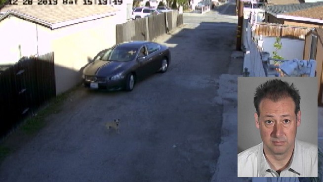 Video Shows Driver Run Down