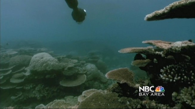 http://media.nbcbayarea.com/images/scott_74308791_722x406_1331267516.jpg
