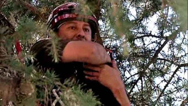 The Cat Whisperer: Officer Has Arms Full During Rescue