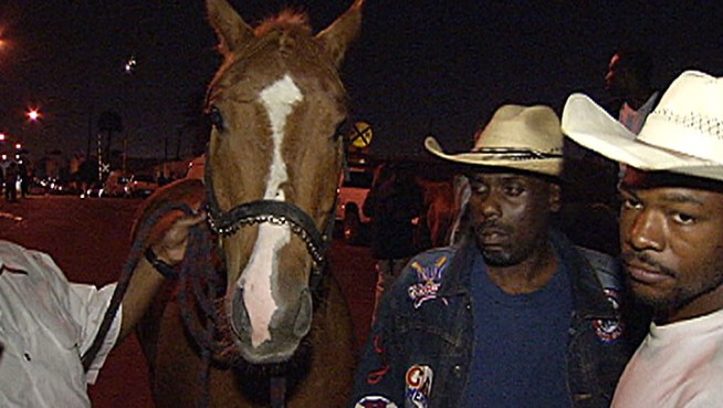 Horse owners had a deadline to removed horses from a red-tagged stable in unincorporated Athens. Annette Arreola reports from Athens for 