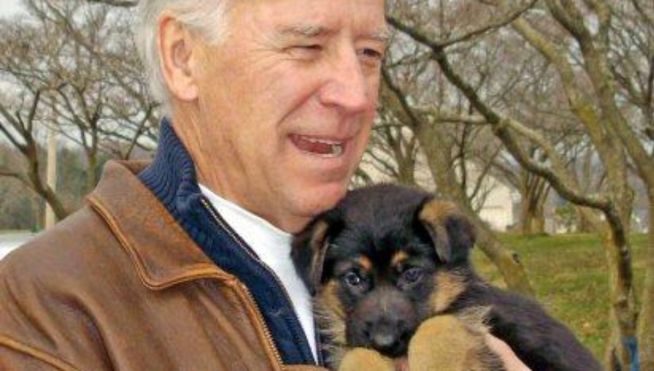 Biden's Puppy Breeder: "Never, Never, Never Again"