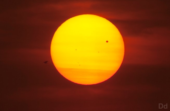 The transit of Venus across the sun brought out amateur and veteran astronomers to see the rare event, not expected to happen again until 2117. Lolita Lopez reports from the Griffith Park Observatory for the NBC4 News at 5 p.m. on June 5, 2012.