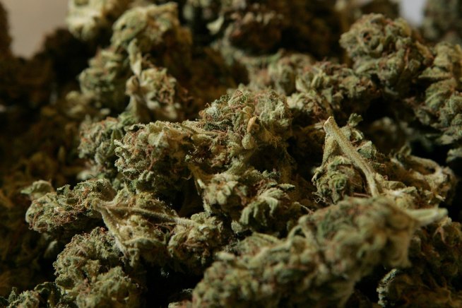 Armed Robbers Open Fire at Medical Marijuana Clinic