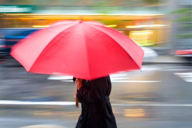 Morning Rain to Be Followed by Showery Afternoon