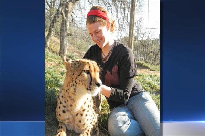 Paul Hanson said his daughter, Dianna, started a six-month internship in January at Project Survival's Cat Haven sanctuary in Dunlap, Calif. The 24-year-old was fatally mauled by a lion at the sanctuary on Wednesday. Kim Baldonado reports from Fresno for the NBC4 News at 11 p.m. on March 6, 2013.