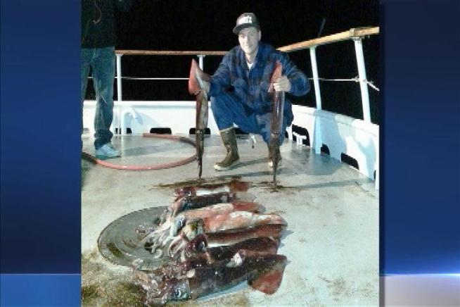 Hundreds of giant squid have appeared in the waters off Dana Point and San Clemente for the last few days.  Janet Kwak reports for the NBC4 News at 11 p.m. on Jan. 4, 2013.