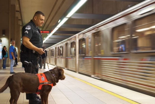 Reality Check: Metro Searching Commuter Bags 