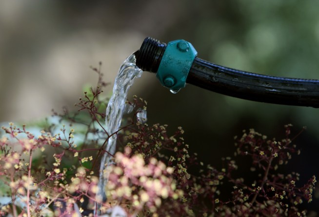 Water Usage Down in LA