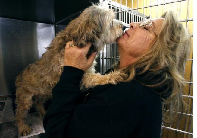 318 Dead Cats, Dogs Removed From Home 