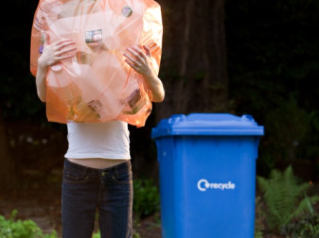 City Turning Green Over Blue Recycle Bins