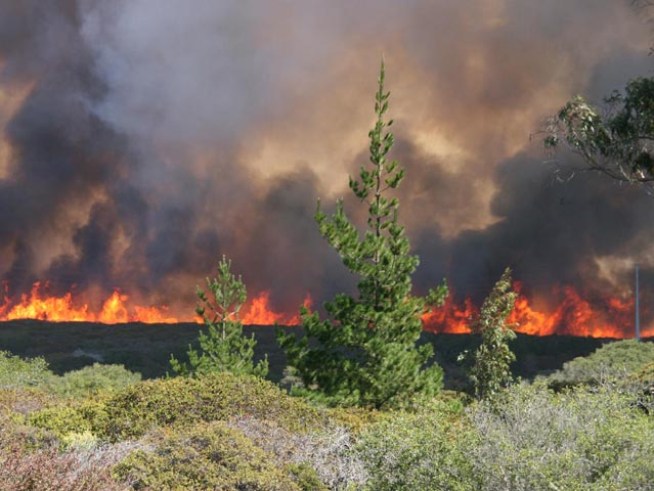 Wildfire Forces Evacuations at Vandenberg Air Force