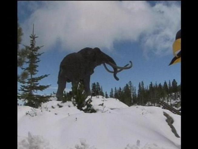 Get your skis out -- Mammoth is opening early!